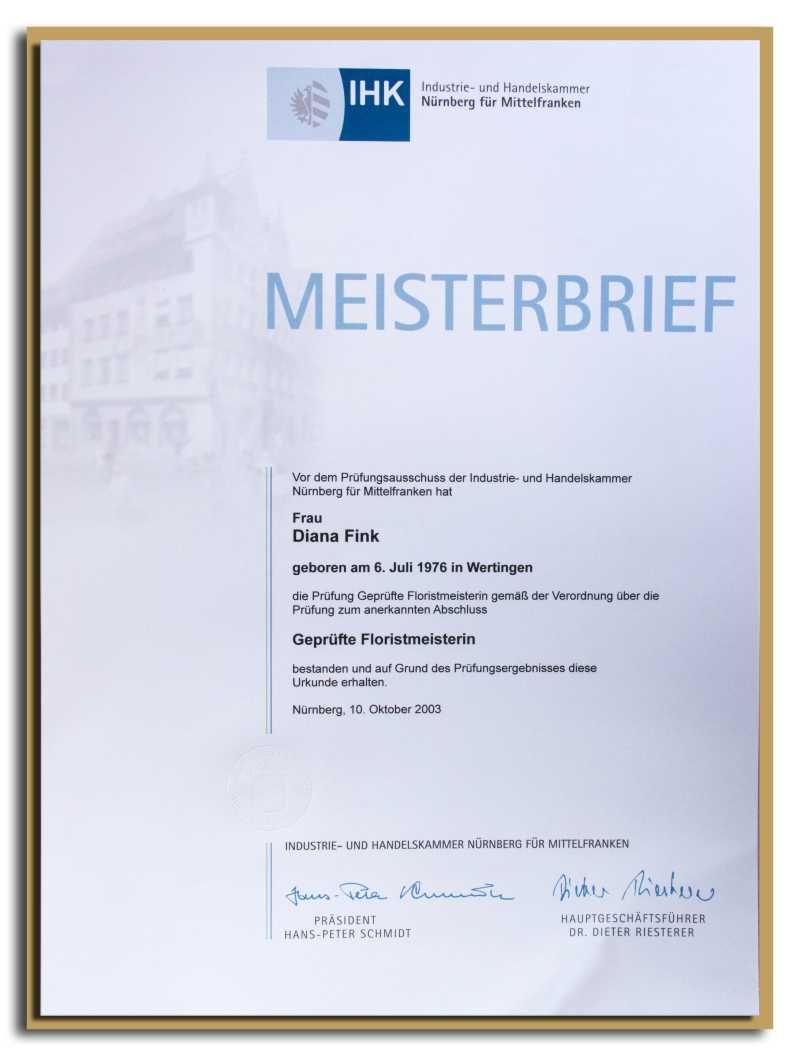 Meisterbrief Diana Fink
